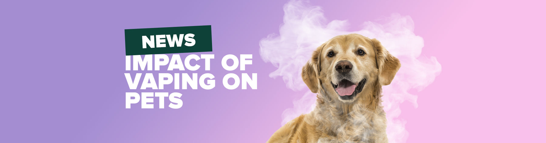 Impacts Of Vaping On Pets