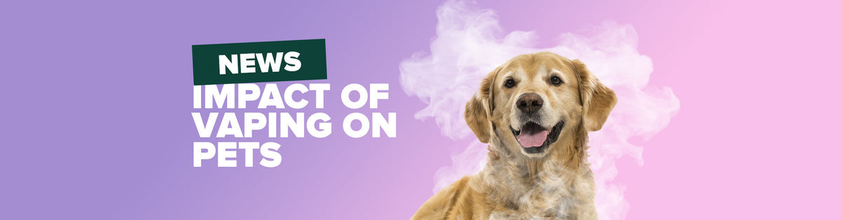 is vape smoke bad for dogs Is Vaping Around Dogs Bad? Vet Approved Advice – West Woodbridge Pet  Hospital