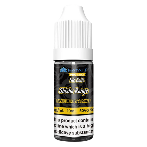 Hayati Pro Max Shisha Blueberry Mint Nic Salt